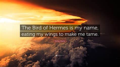 hermes bird|the bird of hermes is my name.